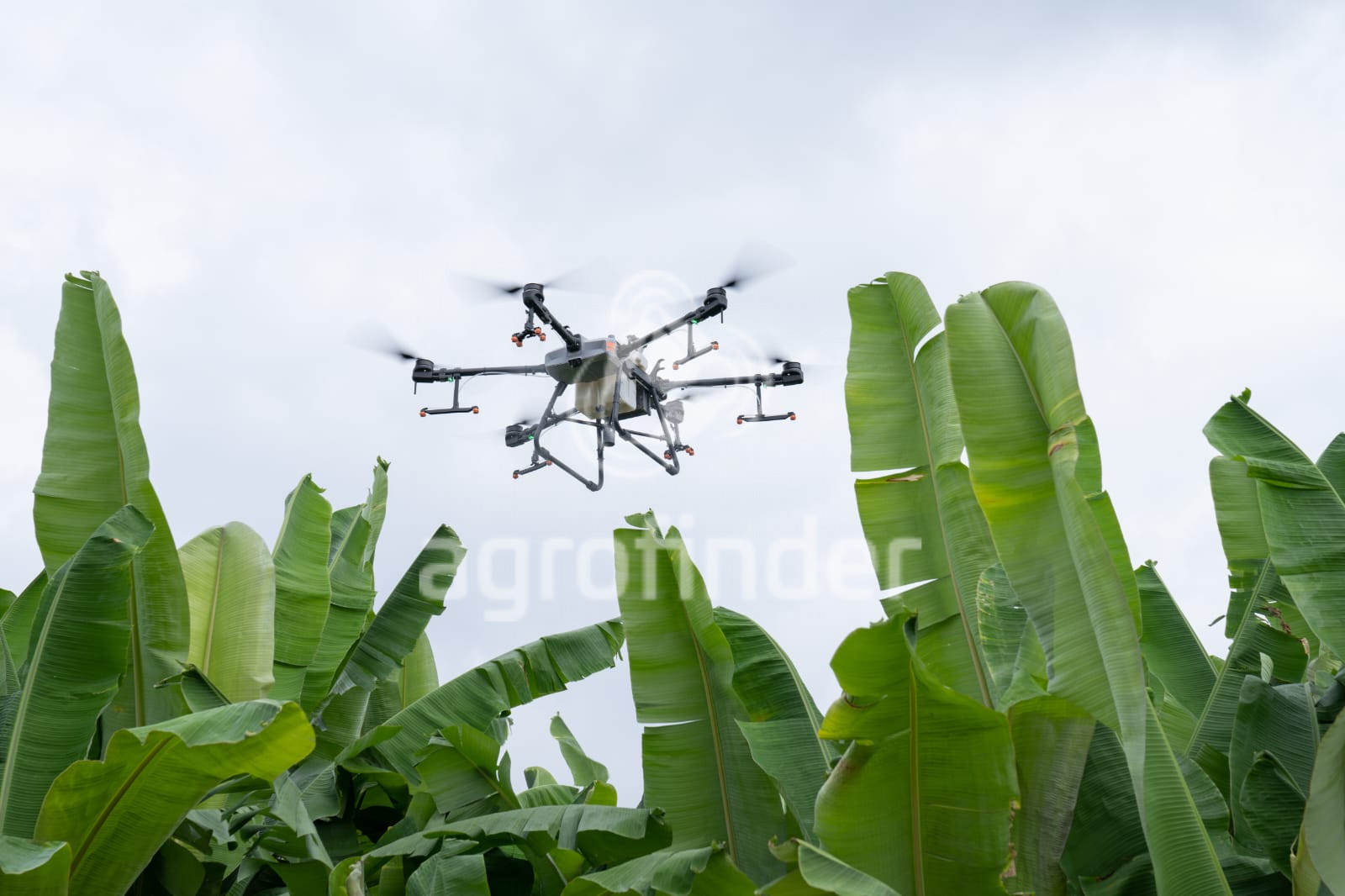Drone DJI T30
Ano 2025